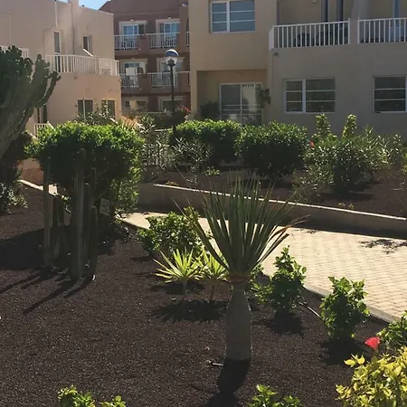 Apartamento דירה *