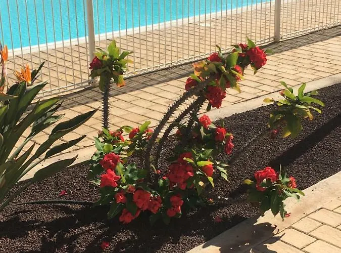 Apartamento Διαμέρισμα *